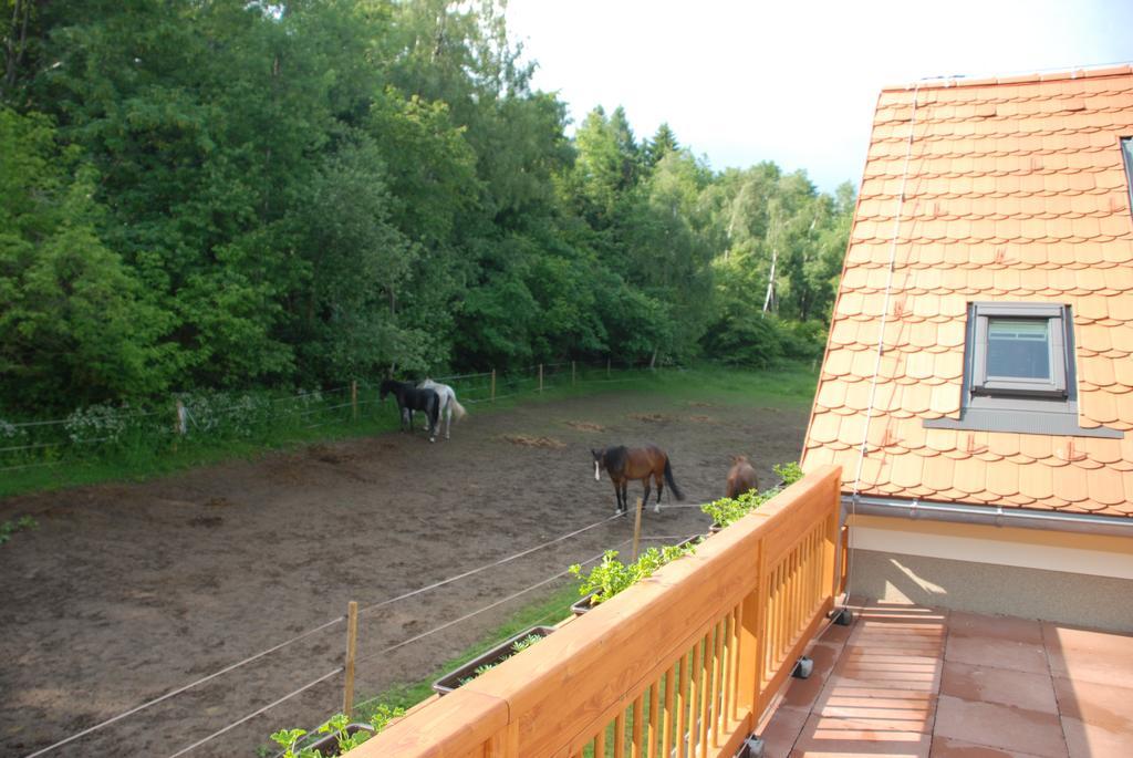 Penzion Staj Navary Apartment Екстериор снимка